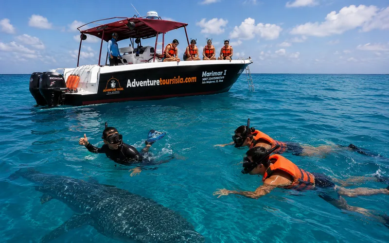 Whale shark swimming in the Mexican Caribbean